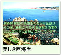 美しき西海岸